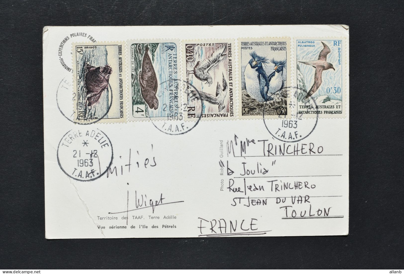 Chine - Faune N° 2 - 7 - 12 - 13 Et 13B Sur Carte Postale De Terre Adélie Du 21 Déc 1963 - Briefe U. Dokumente