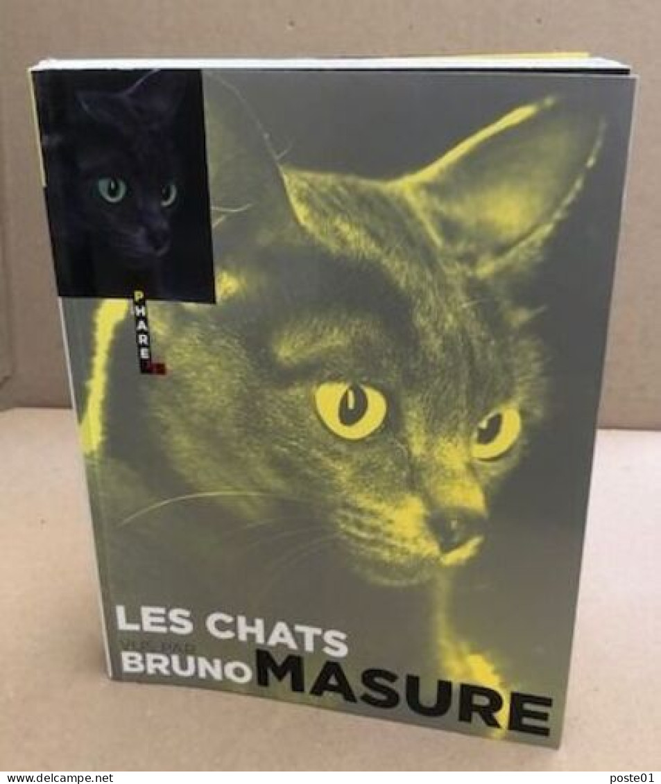 Les Chats Vus Par Bruno Masure - Natuur