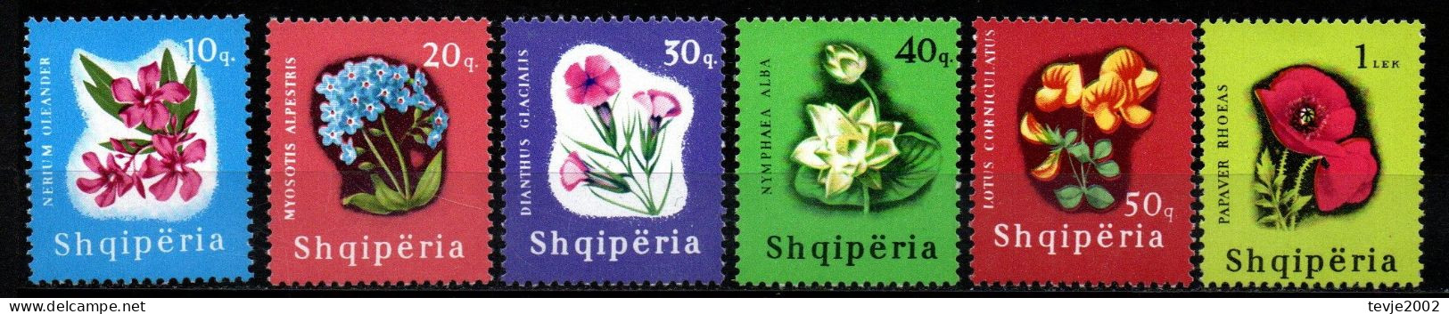 Albanien 1965 - Mi.Nr. 988 - 993 - Postfrisch MNH - Blumen Flowers - Andere & Zonder Classificatie
