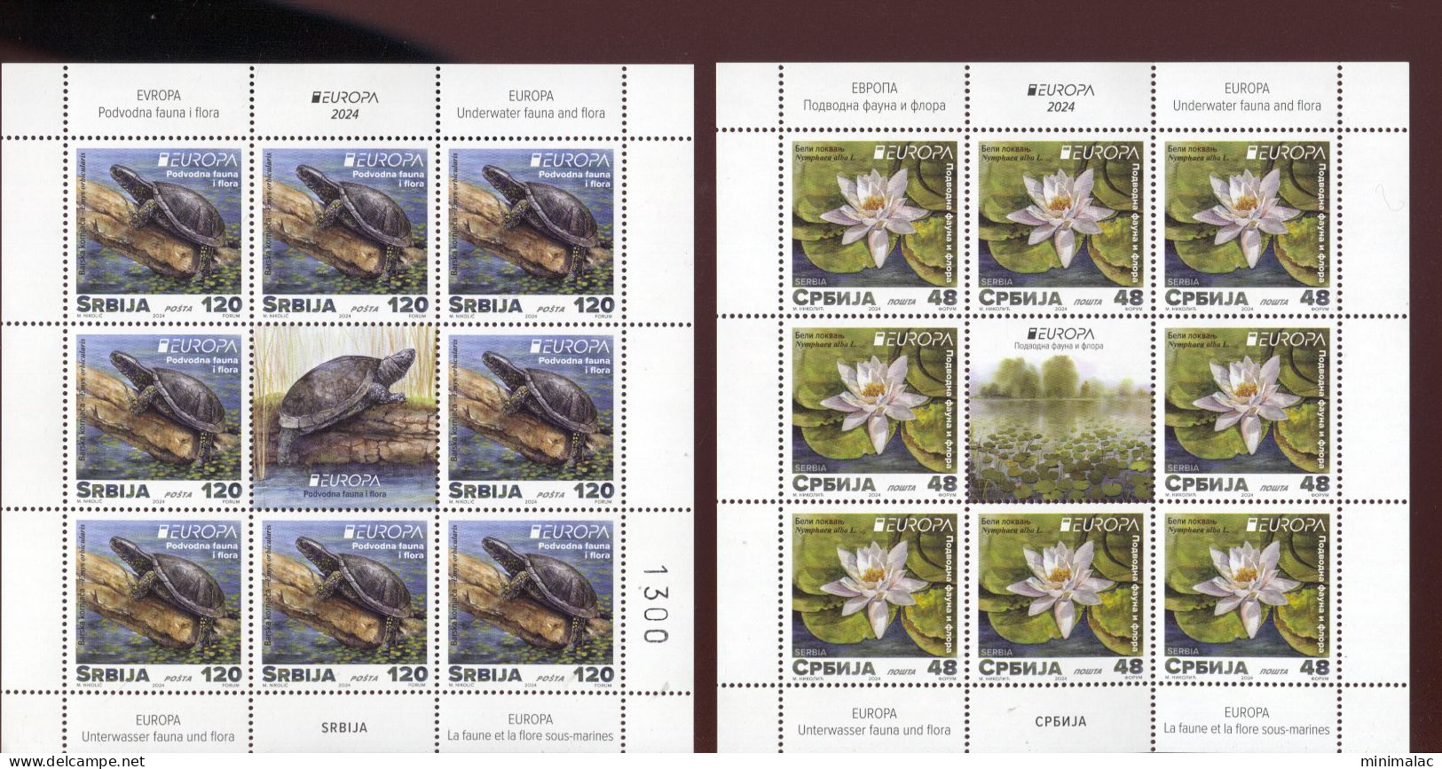 Serbia 2024. EUROPA, Underwater Fauna And Flora, Water Lily, Turtle, Mini Sheet, MNH - Sonstige & Ohne Zuordnung