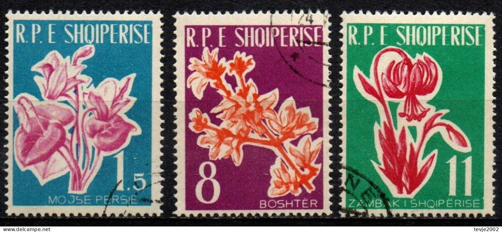 Albanien 1961 - Mi.Nr. 633 - 635 - Gestempelt Used - Blumen Flowers - Sonstige & Ohne Zuordnung