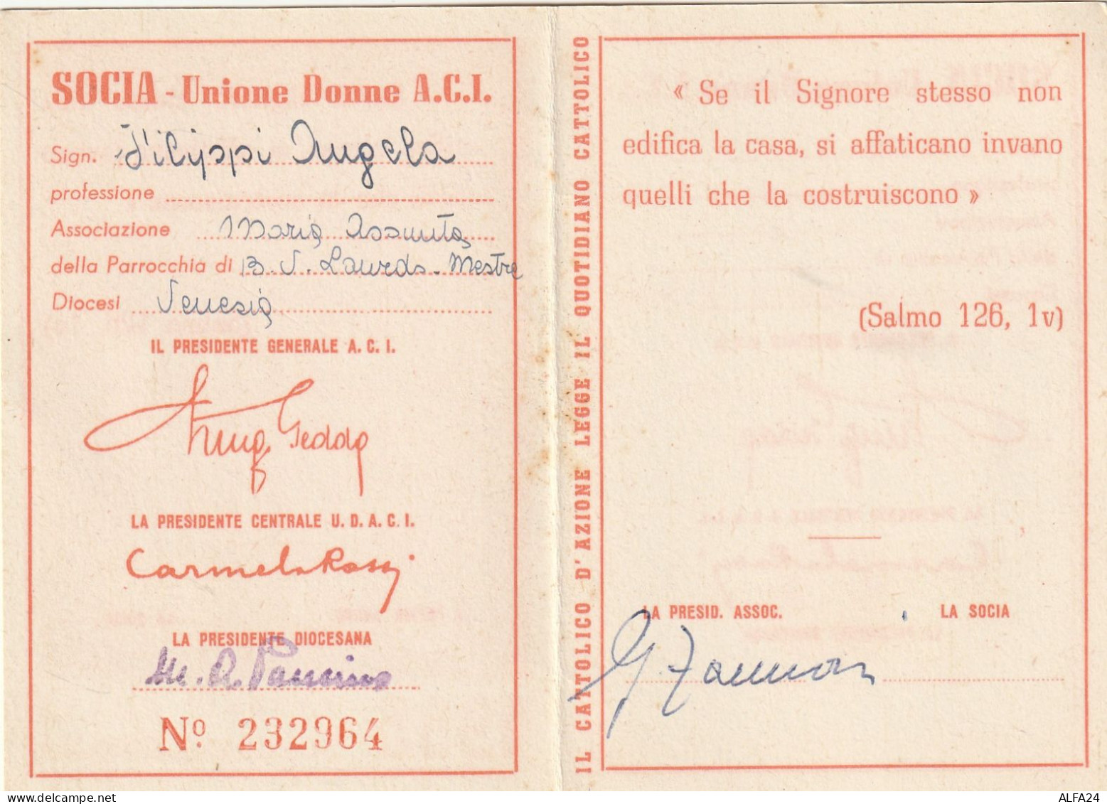 TESSERA 1955 UNIONE DONNE AZIONE CATTOLICA (XT4004 - Tarjetas De Membresía