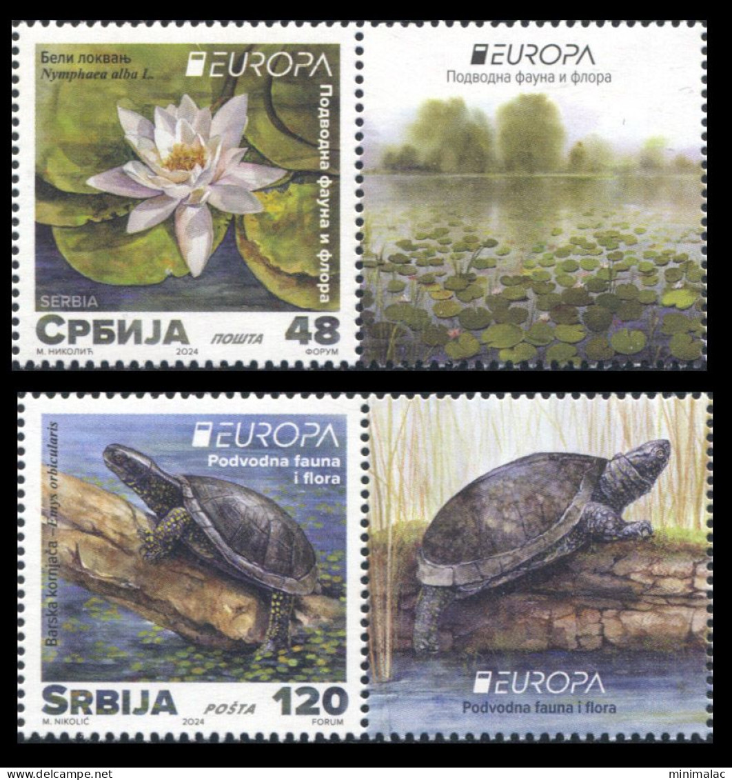 Serbia 2024. EUROPA, Underwater Fauna And Flora, Water Lily, Turtle, Stamp + Vignette, MNH - Schildpadden