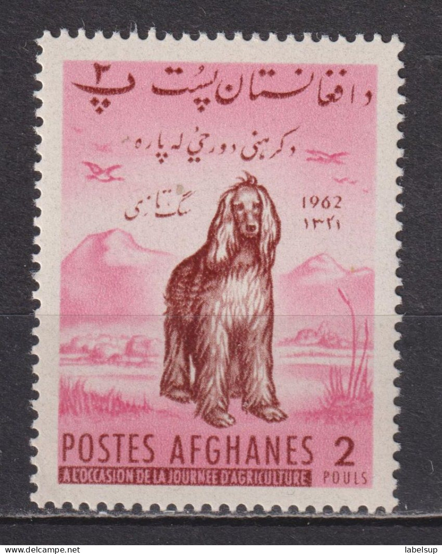 Timbre Neuf** D'Afghanistan De 1962 YT 617 MI 623 MNH - Afganistán
