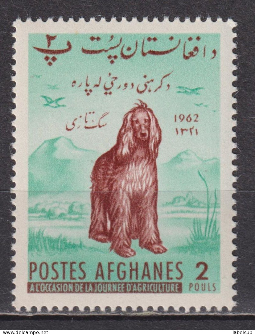 Timbre Neuf** D'Afghanistan De 1962 YT 618 MI 624 MNH - Afghanistan