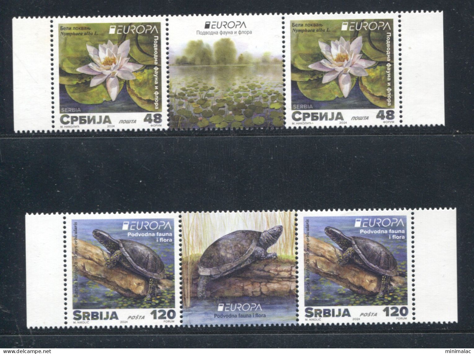 Serbia 2024. EUROPA, Underwater Fauna And Flora, Water Lily, Turtle, Middle Row, MNH - Tartarughe