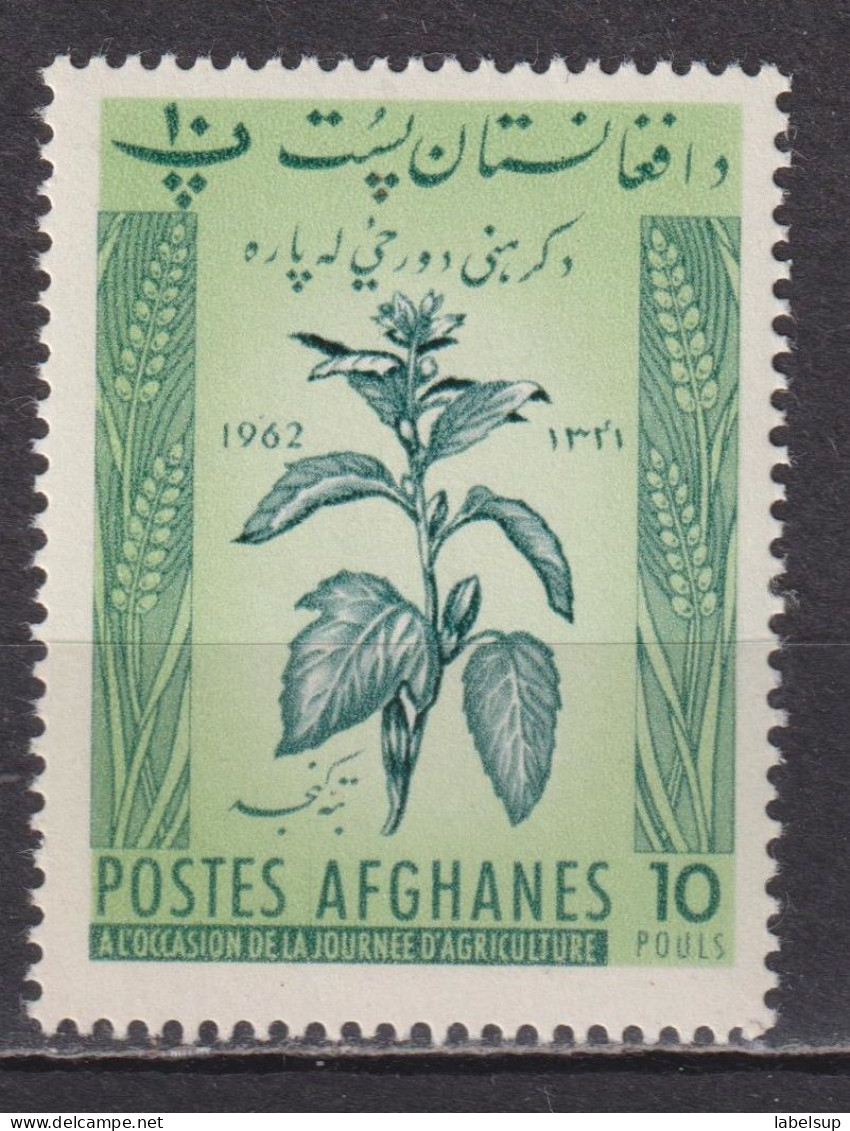 Timbre Neuf** D'Afghanistan De 1962 YT 620 MI 626 MNH - Afganistán