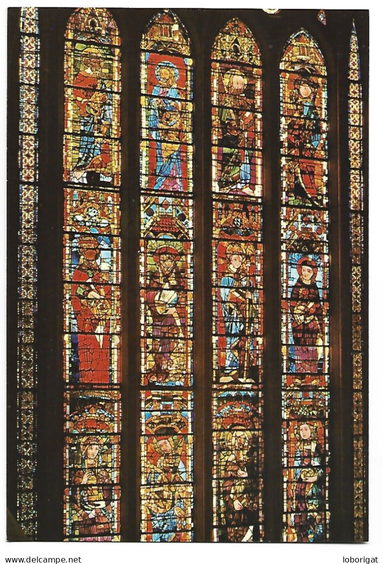 CATEDRAL, VIDRIERAS SIGLO XIII / CATHEDRAL, ARTISTIC GLASS WINDOWS XIIIth CENTURY.- LEON.- ( ESPAÑA). - Eglises Et Cathédrales