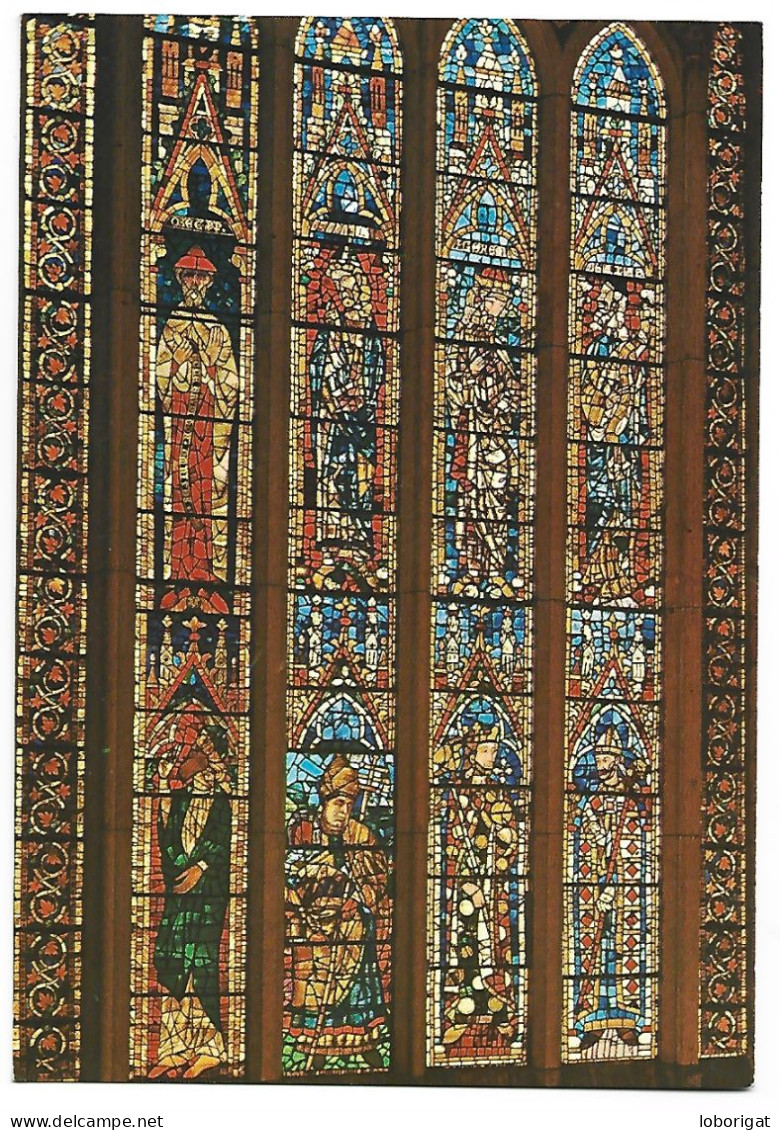 CATEDRAL, VIDRIERAS SIGLO XIII / CATHEDRAL, ARTISTIC GLASS WINDOWS XIIIth CENTURY.- LEON.- ( ESPAÑA). - Kerken En Kathedralen