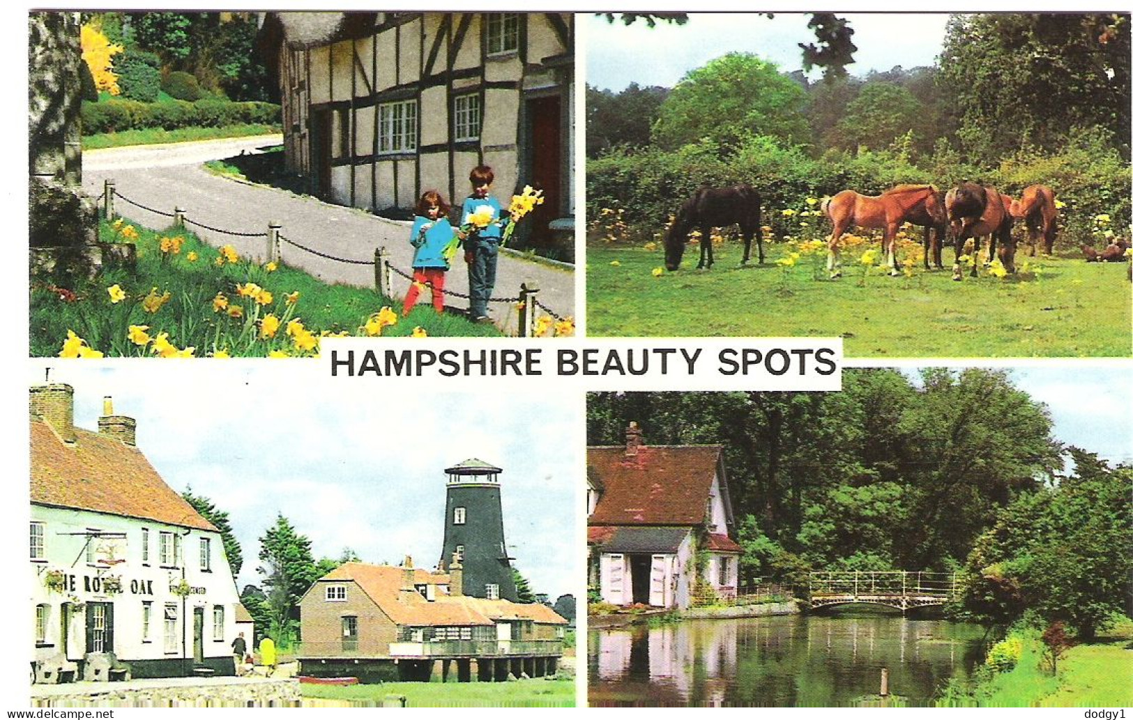 SCENES FROM  HAMPSHIRE, ENGLAND. UNUSED POSTCARD My3 - Other & Unclassified