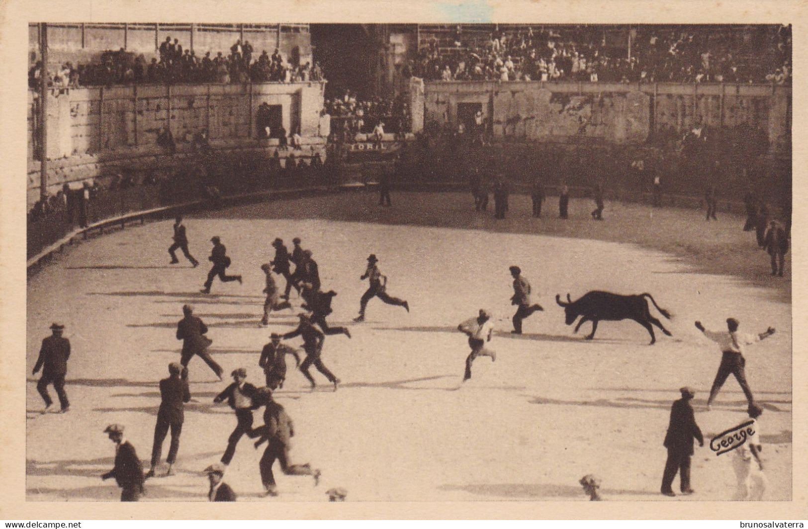 ARLES - Jeux Provençaux - Courses De Vaches Sauvages Les Cornes Emboulées - Arles