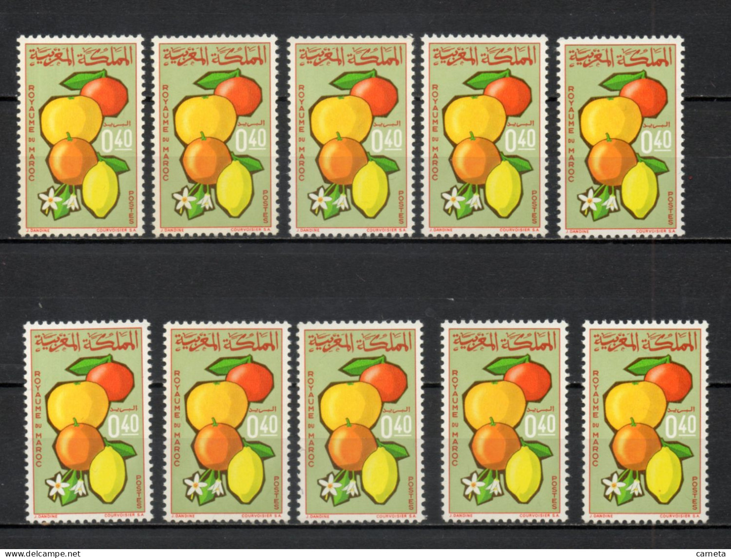 MAROC N°  509   DIX EXEMPLAIRES    NEUF SANS CHARNIERE  COTE 8.00€   AGRICULTURE - Maroc (1956-...)