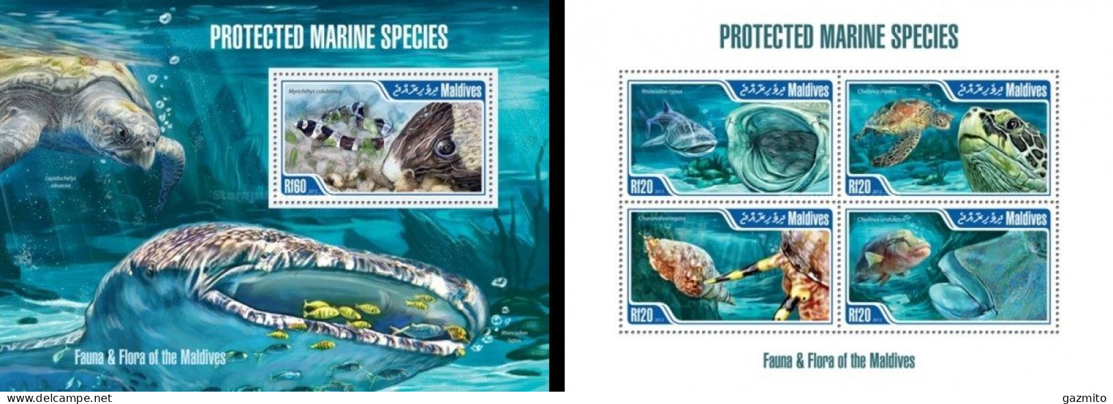 Maldives 2013, Animals, Fishes, Turtle, Shell, 4val In BF +BF - Maldivas (1965-...)