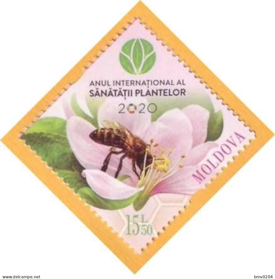 2020 Moldova Moldavie Private UNO: 2020 - International Year Of Plant Health, Insectes , Flowers , Bees 1v Mint - Honeybees