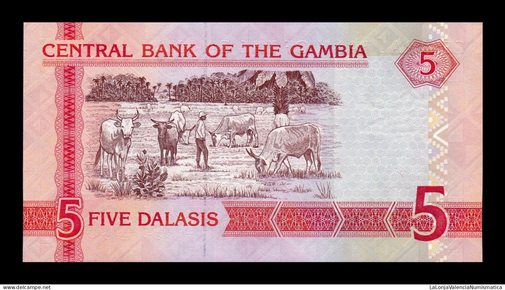 Gambia 5 Dalasis 2013 Pick 25c Sc Unc - Gambie