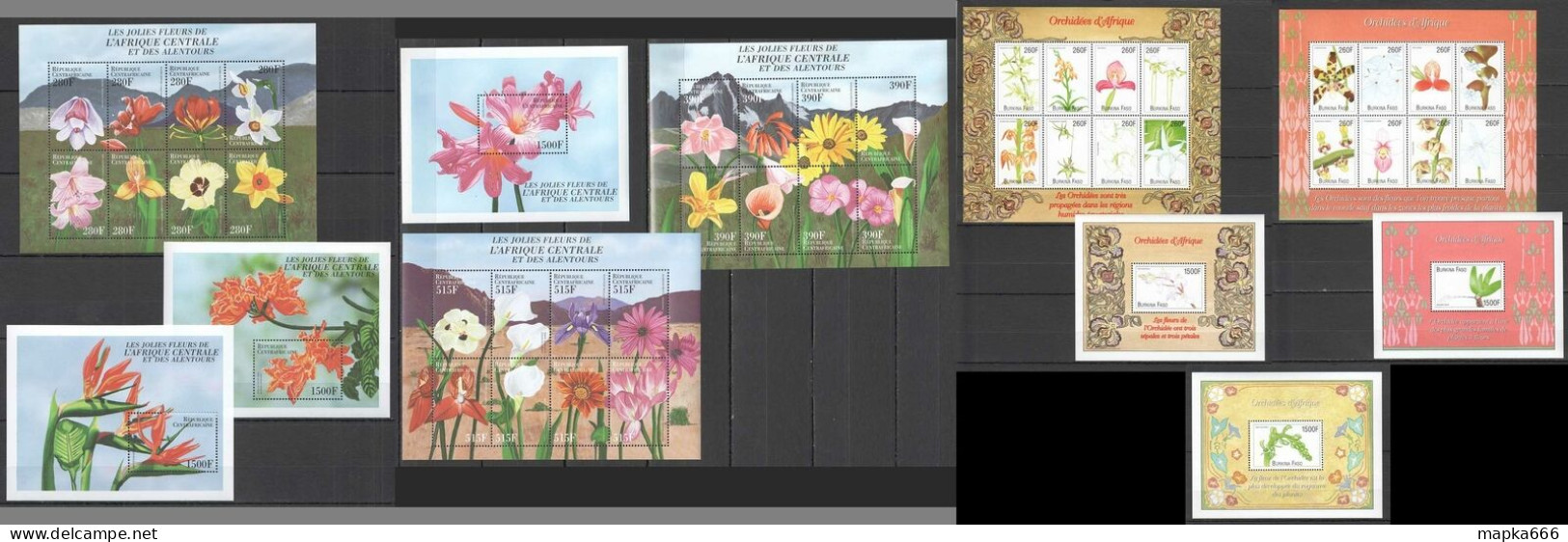 O0105 Central Africa Burkina Faso Flora Flowers Orchids Of Africa 5Kb+6Bl Mnh - Orquideas