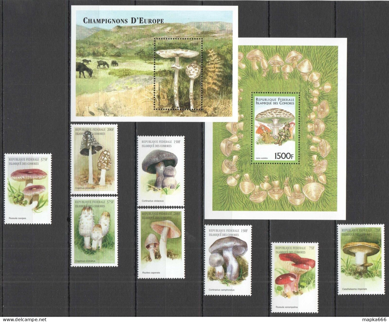 B1563 Comoros Nature Flora Mushrooms Of Europe 1Set+2Bl Mnh - Pilze