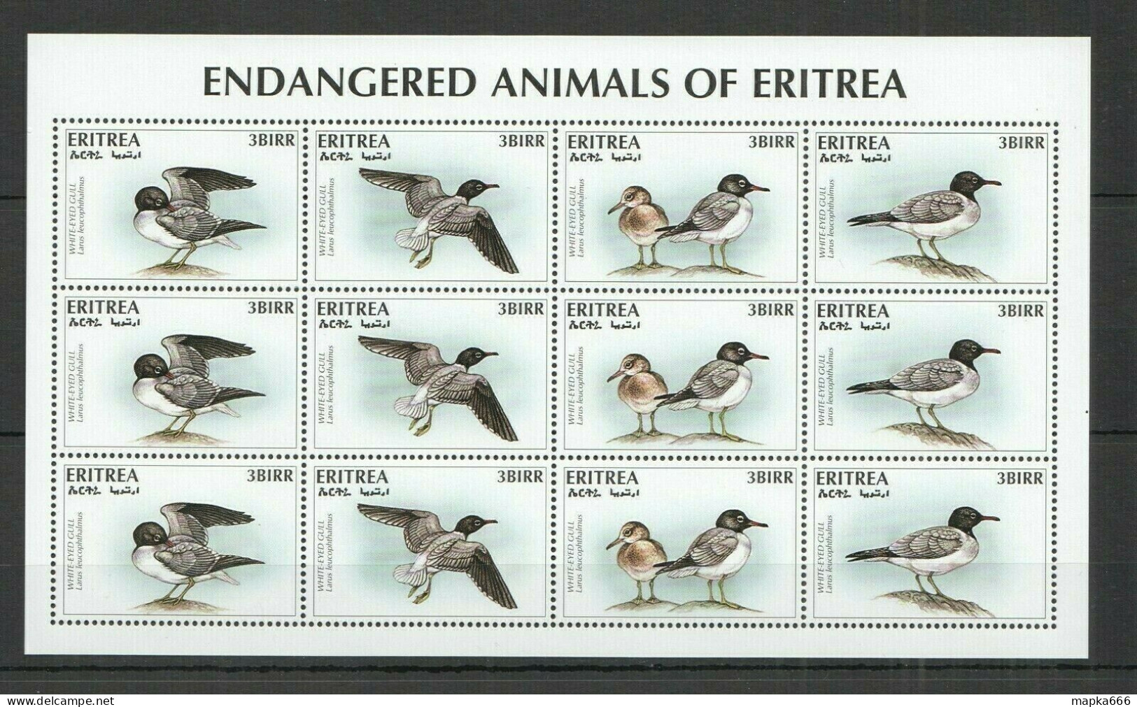 B1593 Eritrea Birds Gulls Fauna Endangered Wild Animals Of Eritrea 1Sh Mnh - Andere & Zonder Classificatie