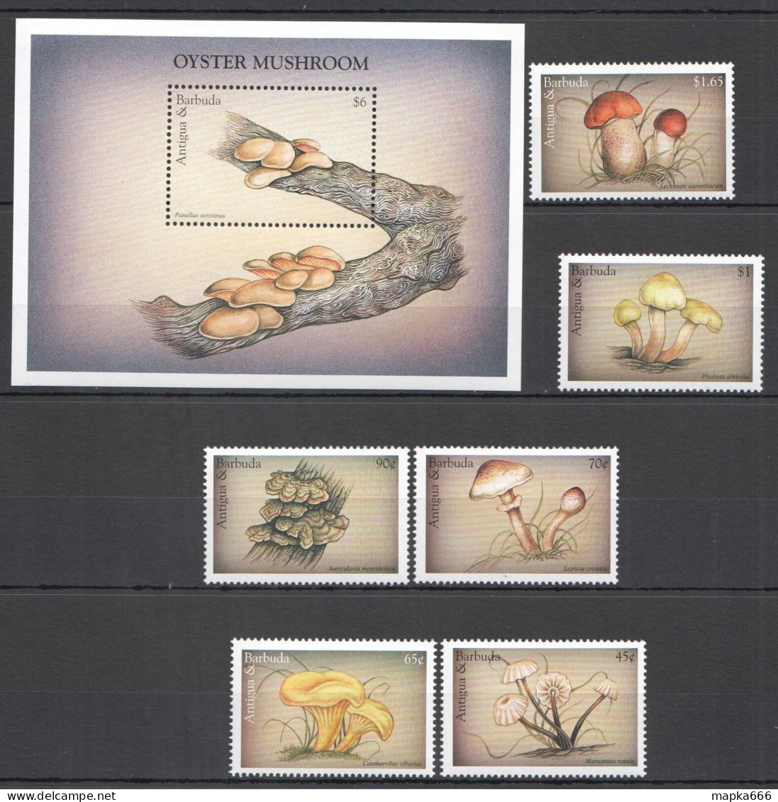O0117 Antigua & Barbuda Flora Nature Mushrooms 1Bl+1Set Mnh - Pilze