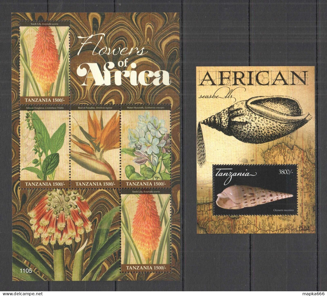 O0100 2011 Tanzania Flora Flowers Seashells Of Africa #1850-52 Kb+Bl Mnh - Andere & Zonder Classificatie