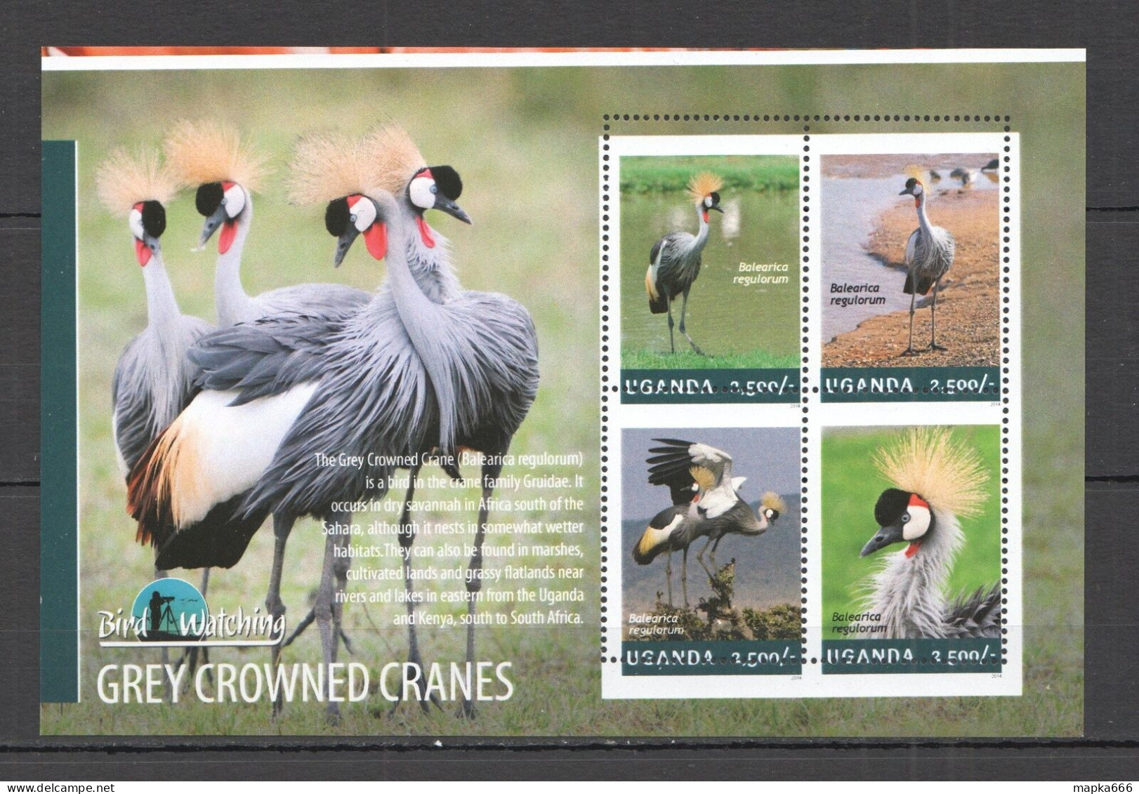 B1576 2014 Uganda Birds Grey Crowned Cranes ! Shift Perf #3245-3248 Mnh - Altri & Non Classificati