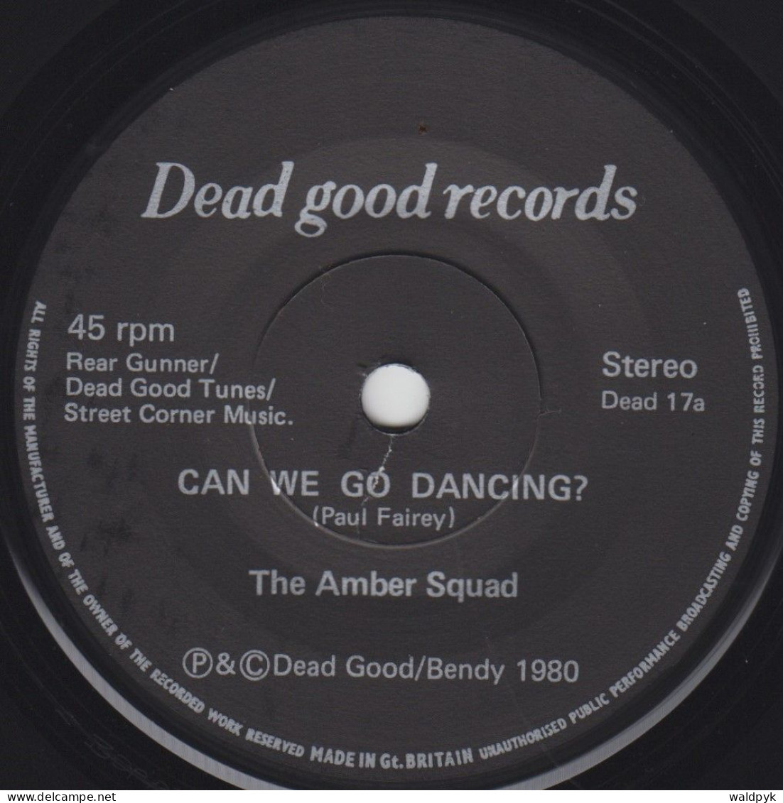 THE AMBER SQUAD - Can We Go Dancing? - Otros - Canción Inglesa