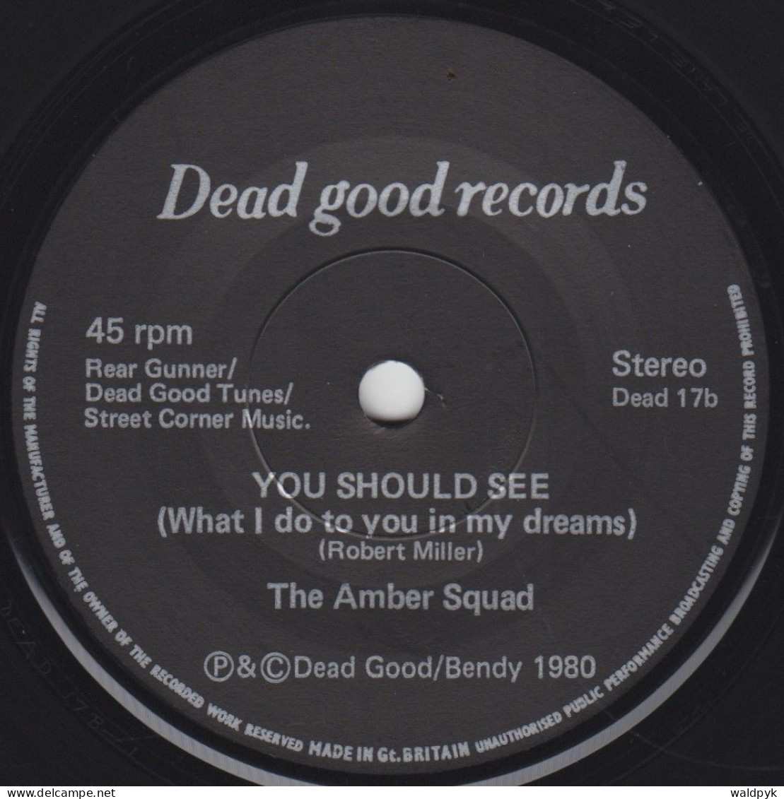 THE AMBER SQUAD - Can We Go Dancing? - Sonstige - Englische Musik