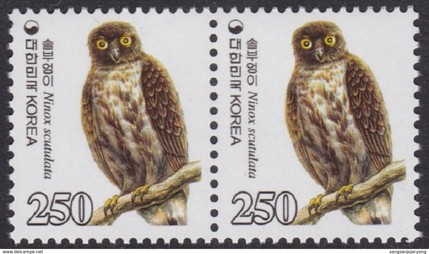 South Korea KPC449 Bird, Brown Hawk Owl, Ninox Scutulata, Natural Monument, Oiseau, Hibou, Chouette, Pair - Owls