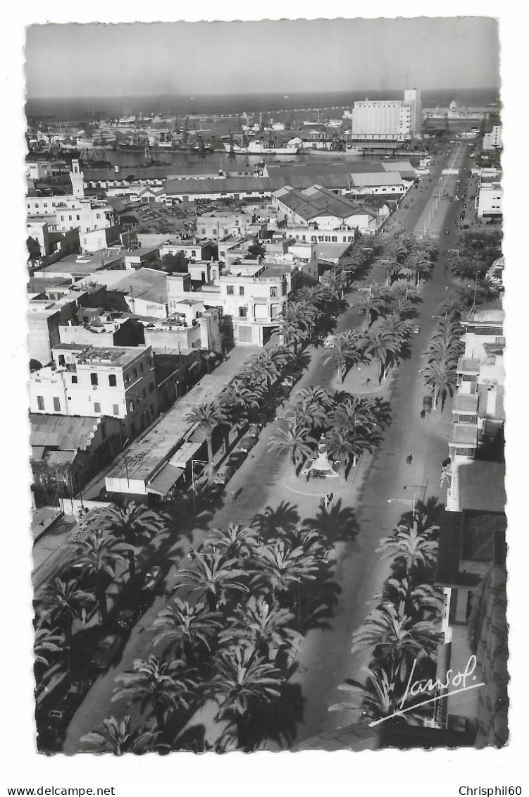 CASABLANCA - RARE  - Avenue Du 4e Zouaves - Edit. Jansol - N° 13 - Circulé En 1953 - - Casablanca