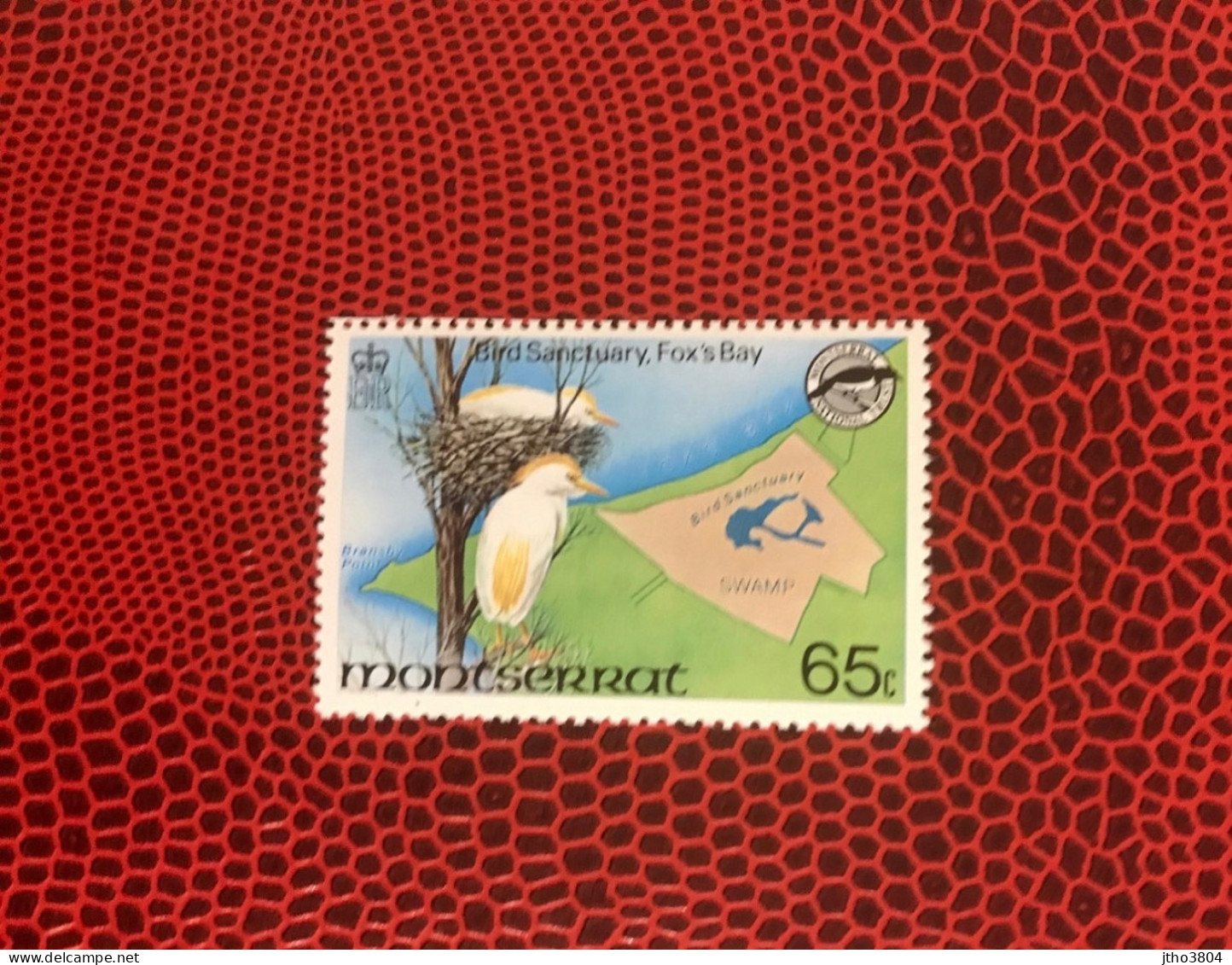 MONTSERRAT 1981 1v Neuf MNH ** Pájaro Bird Pássaro Vogel Ucello Oiseau - Andere & Zonder Classificatie