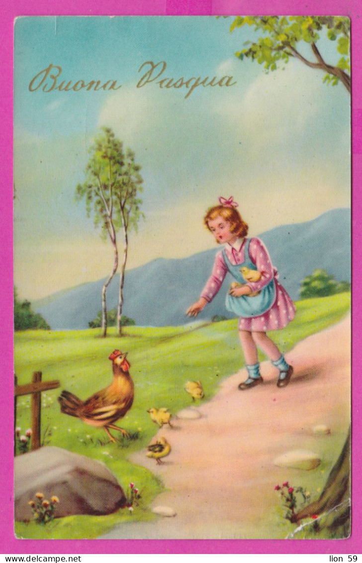 293903 / Italy - Buona Pasqua Easter Girl Rosster Chicks PC 1956 USED - 5+5+5 L Syracusean Coin (7265 Cecami) - 1946-60: Marcophilia