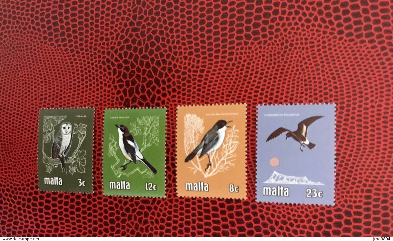 MALTE 1981 4v Neuf MNH ** Mi 624 / 627 YT 612 / 615 Pájaro Bird Pássaro Vogel Ucello Oiseau MALTA - Andere & Zonder Classificatie