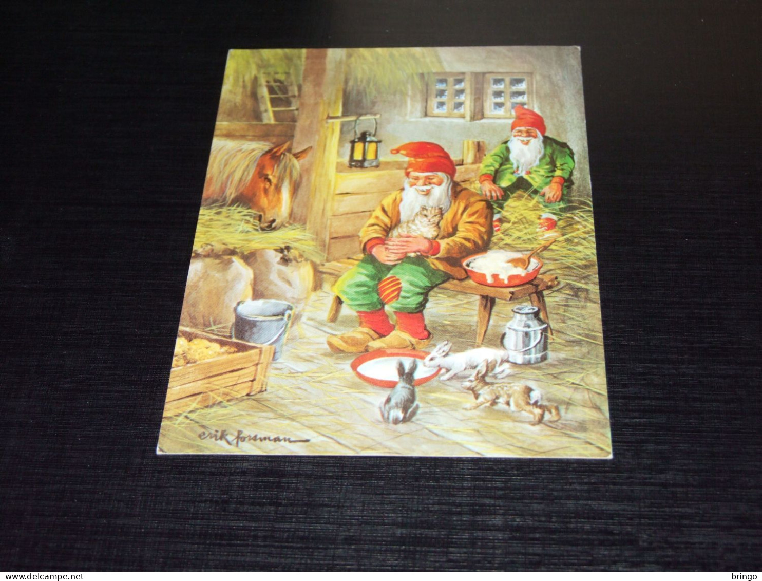 75586-          KABOUTERS / GNOMES / GNOME / GNOMI / GNOMOS  MERRY CHRISTMAS / JOYEUX NOËL / FROHE WEIHNACHTEN / BUON NA - Other & Unclassified