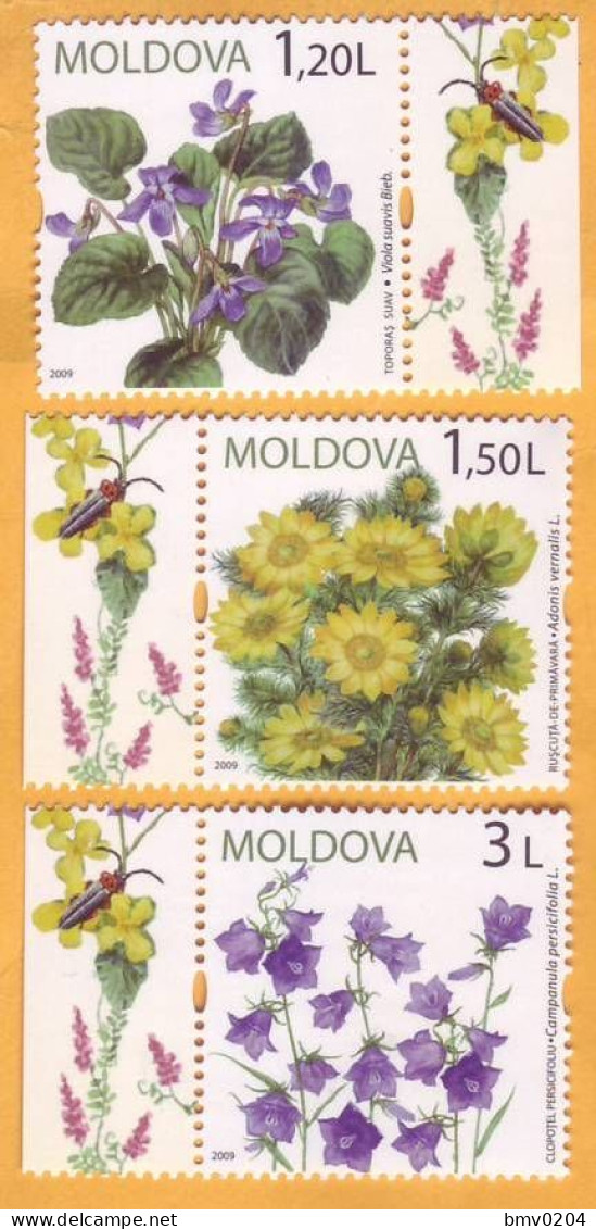 2009  Moldova Flora, Flowers, Violet   3v Mint - Moldawien (Moldau)
