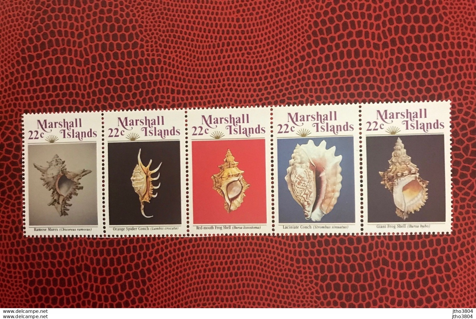MARSHALL ISLANDS 1986 5v Neuf MNH ** Mi 87 / 91 YT 119 / 123 Conchas Shells Muscheln Conchoglie - Coquillages