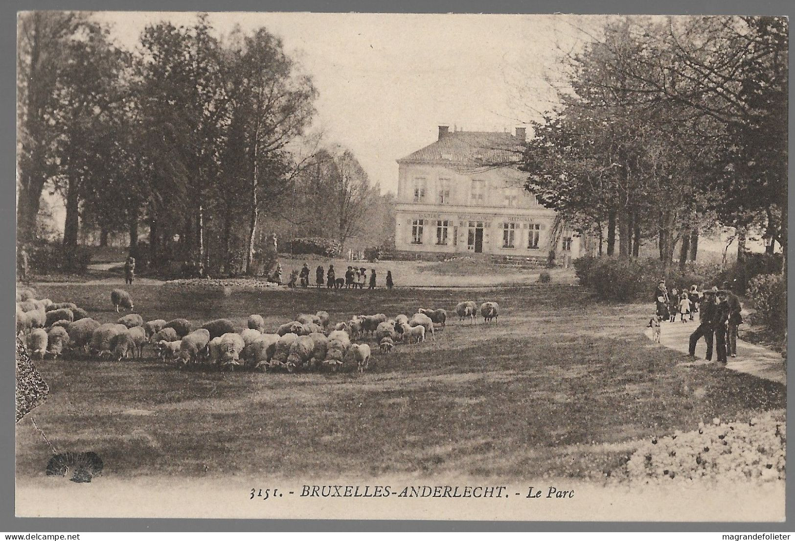 CPA CARTE POSTALE BELGIQUE BRUXELLES-ANDERLECHT LES MOUTONS DANS LE PARC - Anderlecht