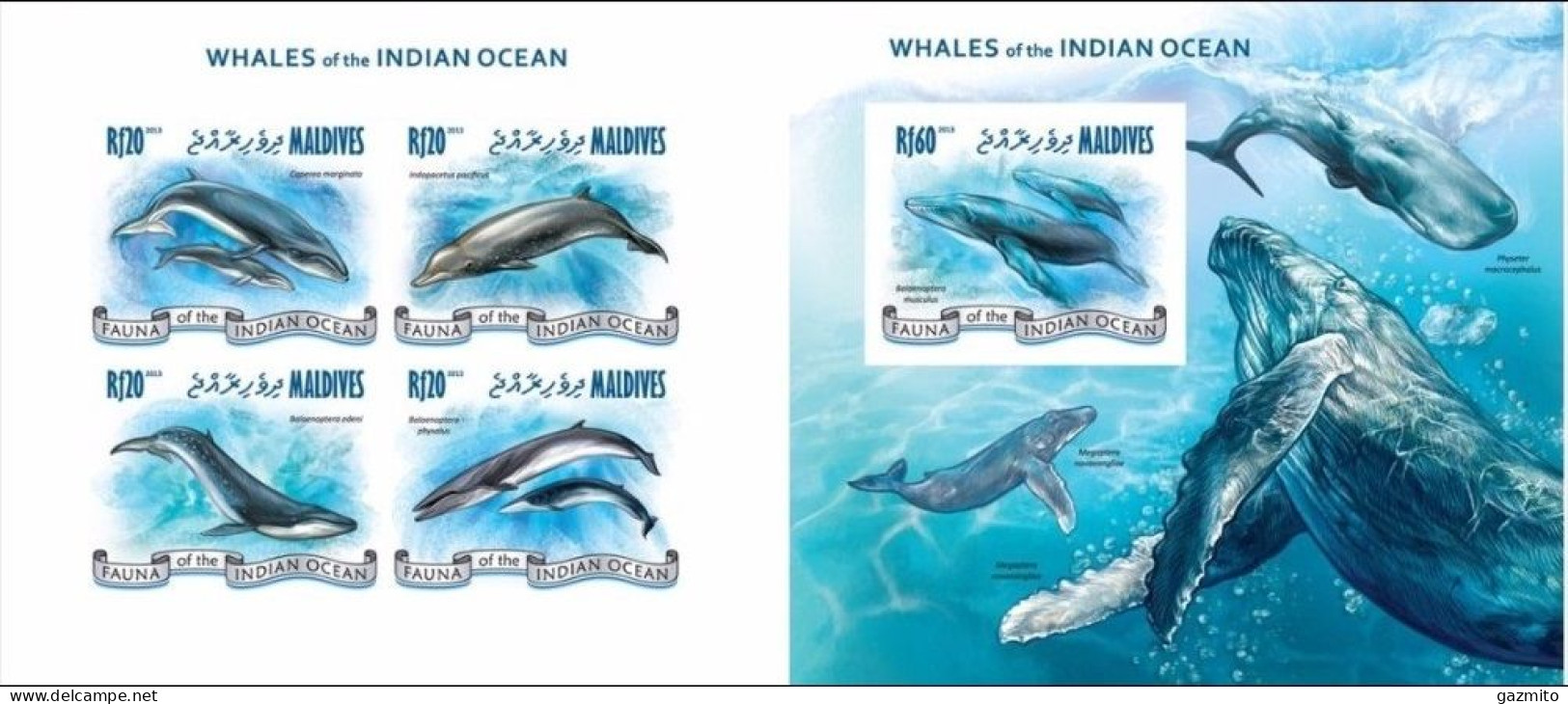 Maldives 2013, Animals, Whales, 4val In BF +BF IMPERFORATED - Malediven (1965-...)