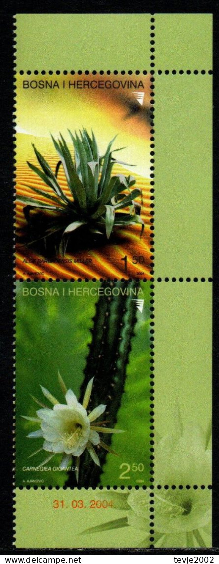 Bosnien Herzegowina 2004 - Mi.Nr. 342 - 343 - Postfrisch MNH - Sukkulenten - Cactus