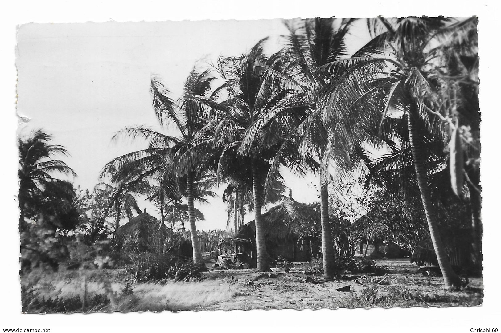 SENEGAL - Cases Sous Les Cocotiers - Edit. Carnaud - Circulé En 1958 - - Sénégal