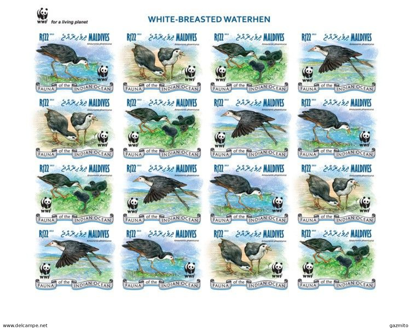 Maldives 2013, Animals, WWF, Birds, 16val In BF IMPERFORATED - Gru & Uccelli Trampolieri