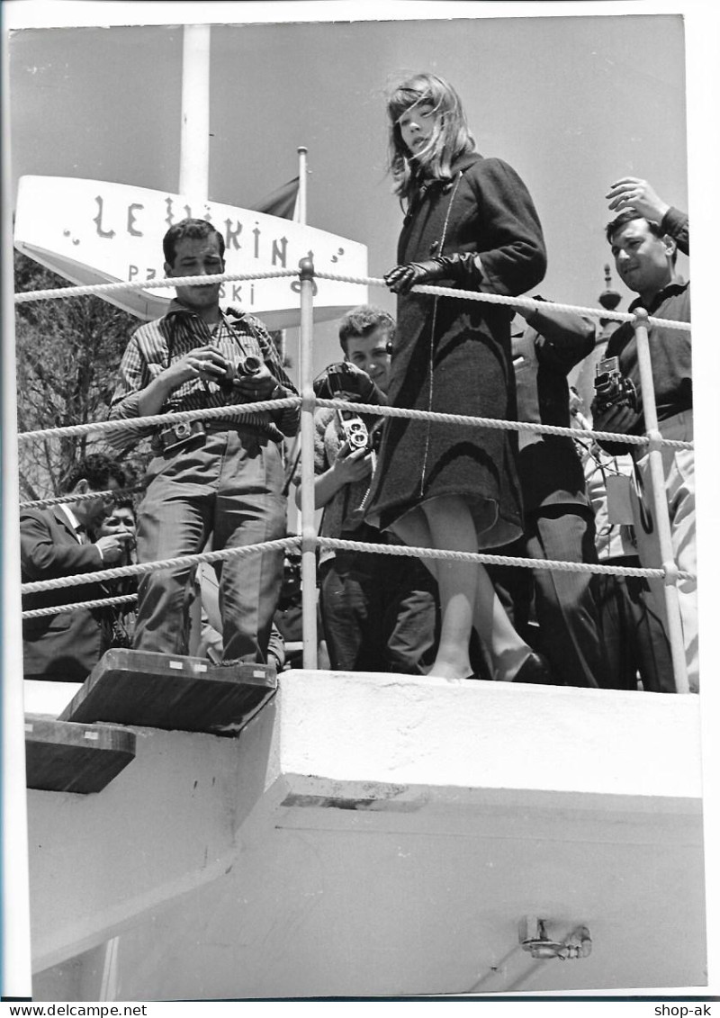 C6306/ Francoise Hardy  Pressefoto Foto 29 X 20 Cm 1963 - Otros & Sin Clasificación