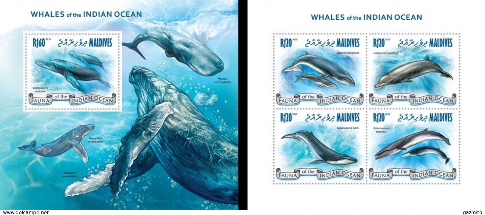 Maldives 2013, Animals, Whales, 4val In BF +BF - Maldives (1965-...)
