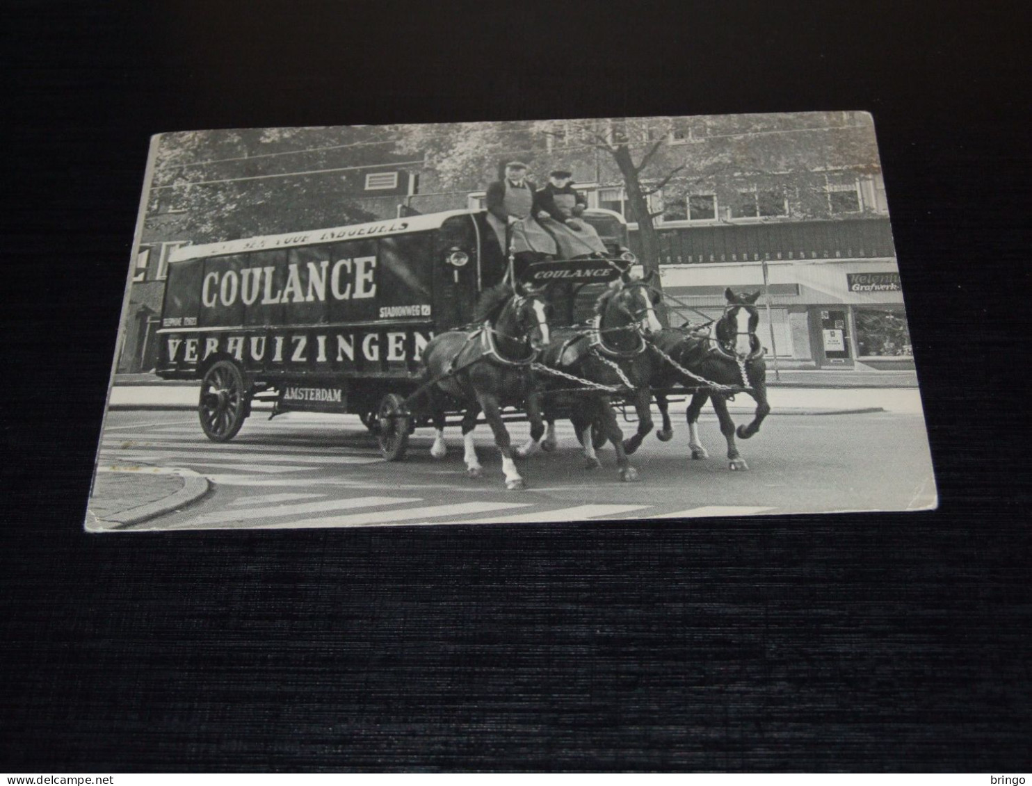 75513-         AMSTERDAM, COULANCE VERHUIZINGEN -  HORSE / HORSES / PFERDE / CAVALLI / CHEVAUX / CABALLOS - Pferde