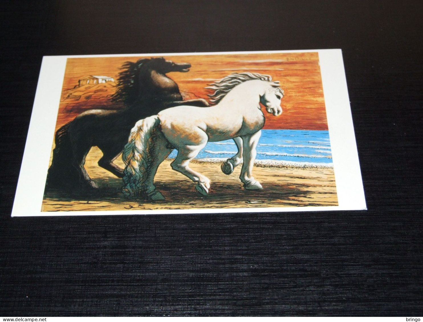 75514-          HORSE / HORSES / PFERDE / CAVALLI / CHEVAUX / CABALLOS - Horses