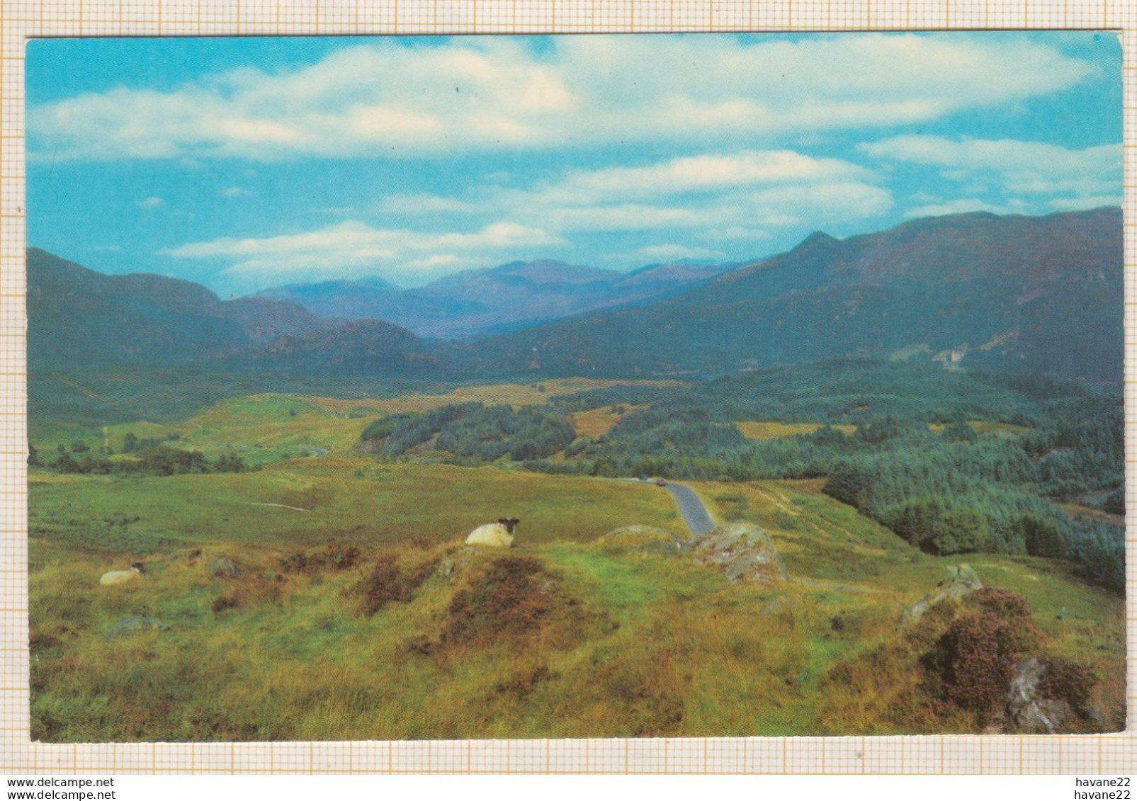 8AK4007 BEN A AN FROM THE TROSSACHS  2 SCANS - Stirlingshire