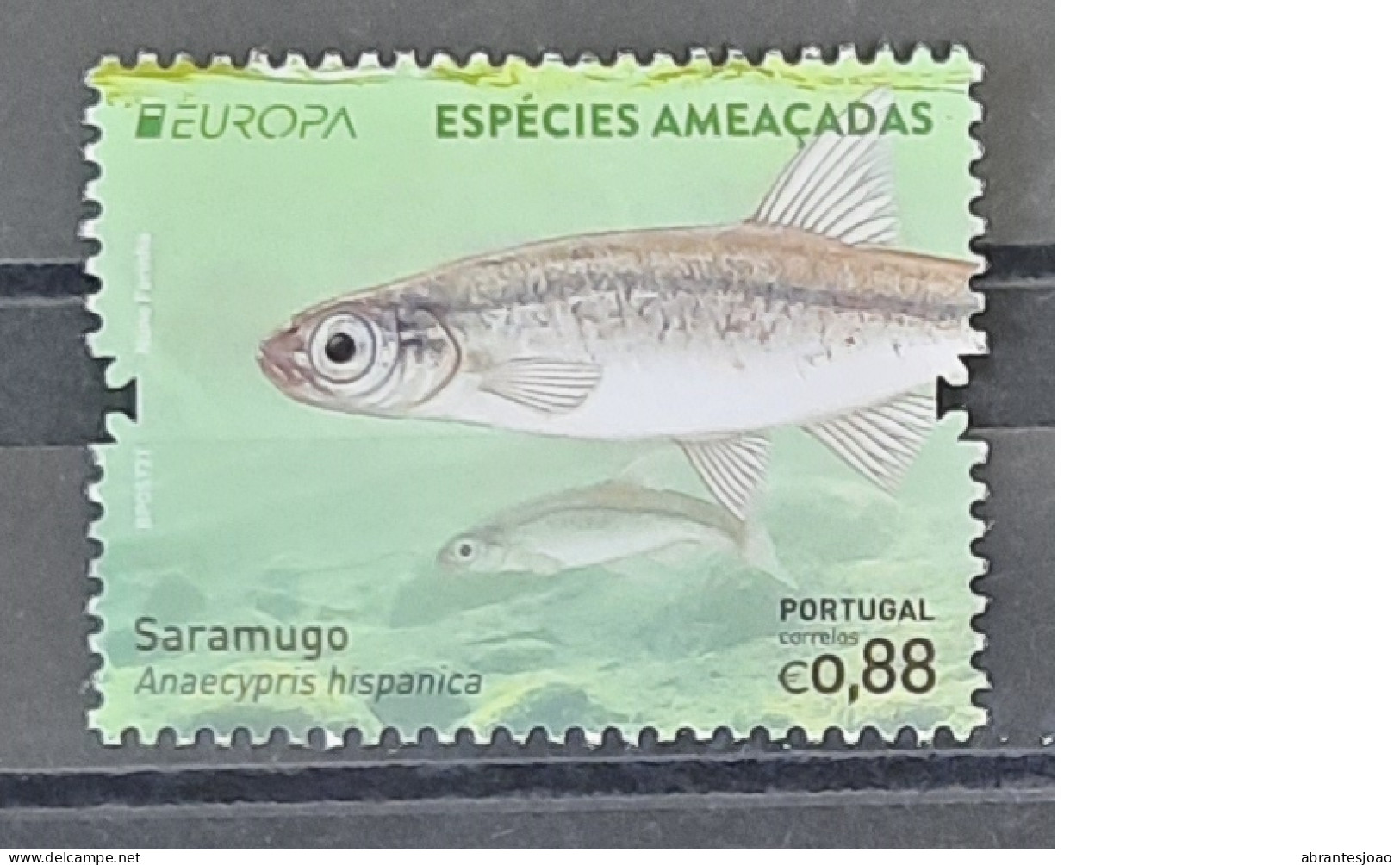 2021 - Portugal - MNH - EUROPA - Threatened  Species - Continent,Azores,Madeira - Normal Stamps+Stamps From Block - 6 St - Neufs