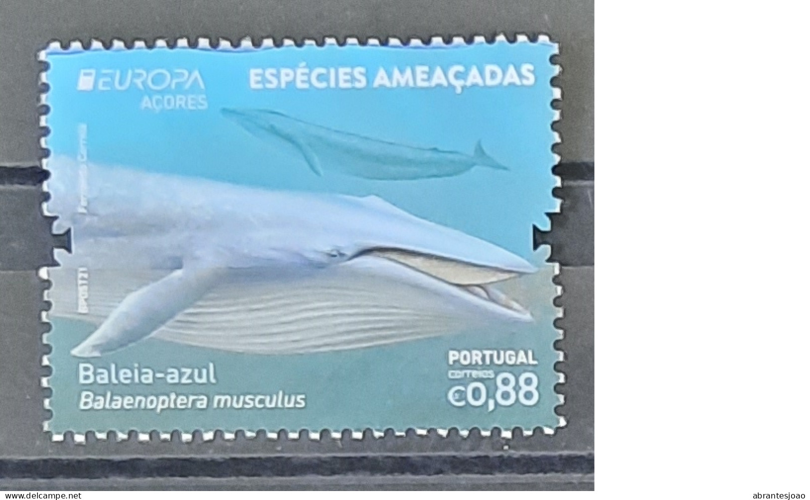 2021 - Portugal - MNH - EUROPA - Threatened  Species - Continent,Azores,Madeira - Normal Stamps+Stamps From Block - 6 St - Unused Stamps