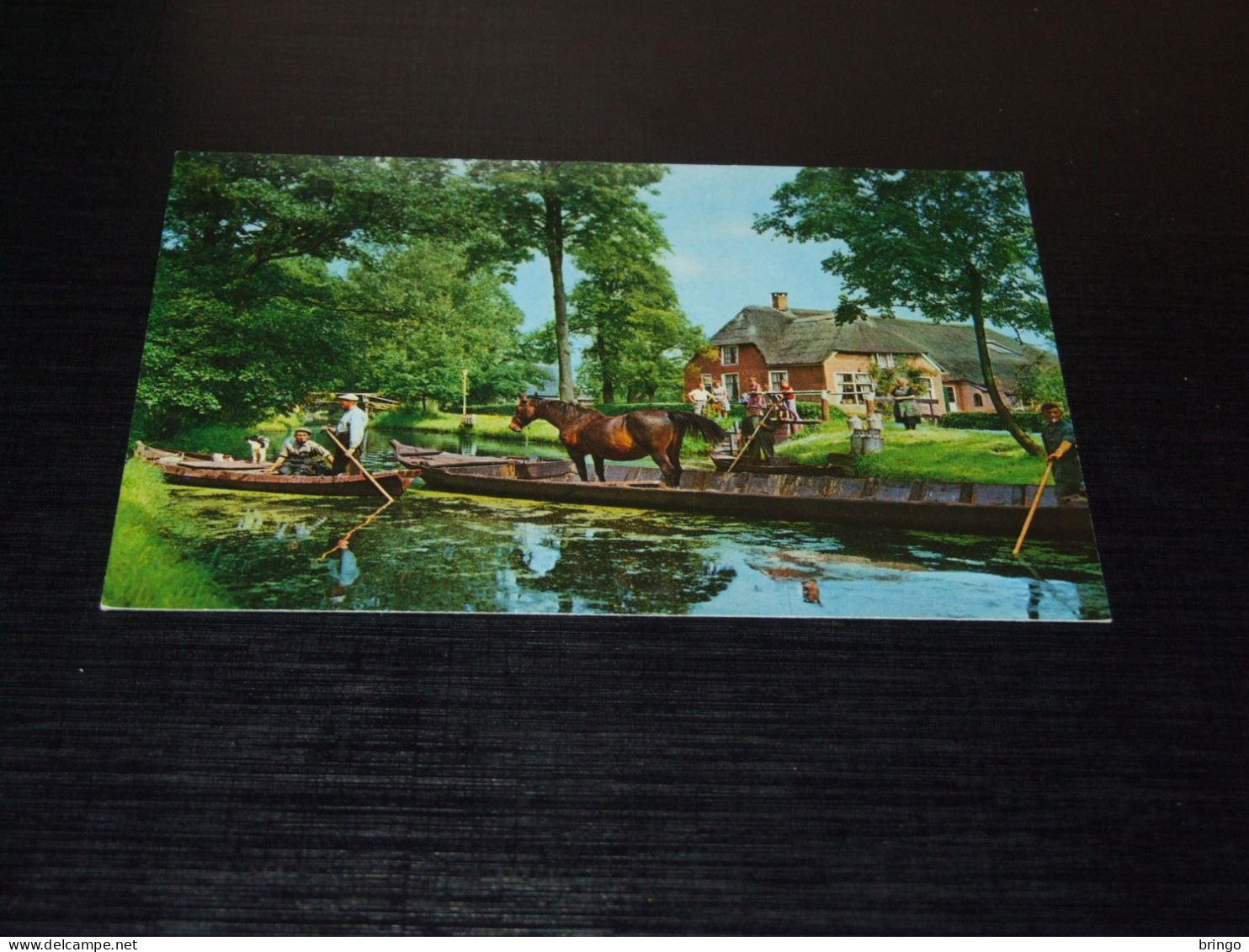 75518-           GIETHOORN - HORSE / HORSES / PFERDE / CAVALLI / CHEVAUX / CABALLOS - Pferde