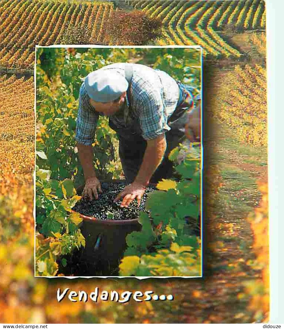 Vignes - Vendanges - Raisins - Vin - CPM - Voir Scans Recto-Verso - Weinberge