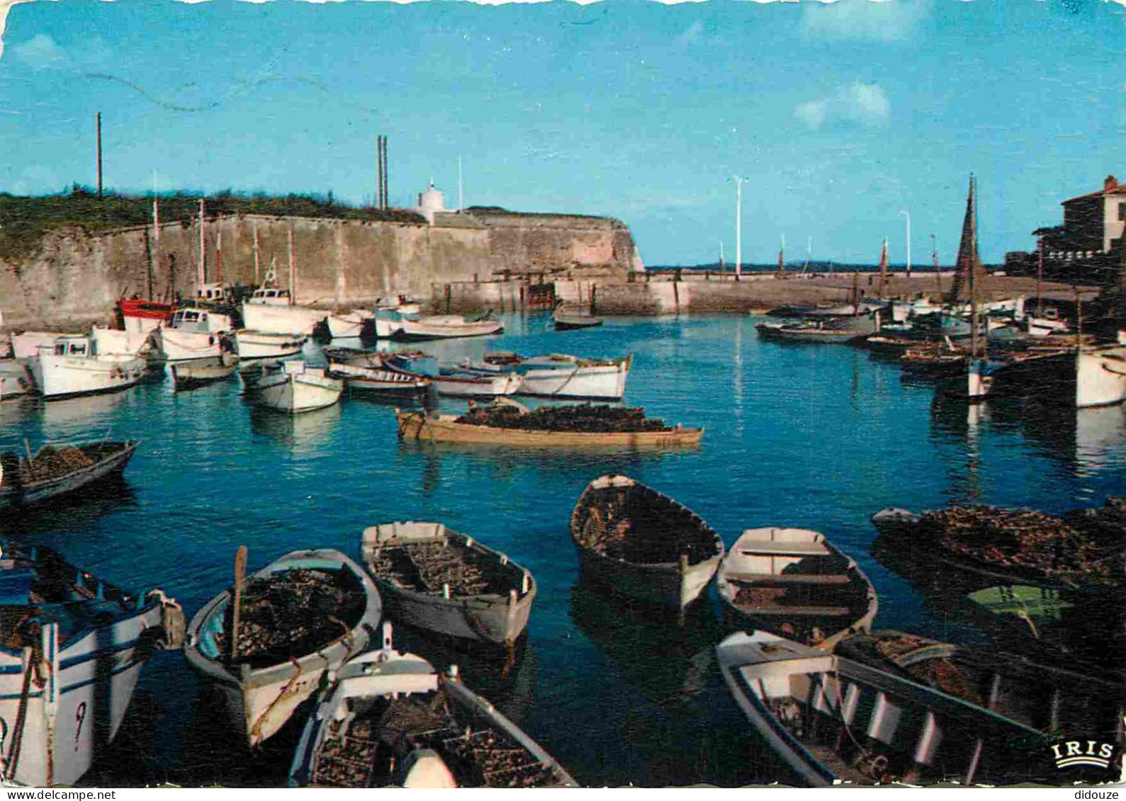 17 - Ile D'Oléron - Le Château D'Oléron - Le Port - Bateaux - Carte Dentelée - CPSM Grand Format - Voir Scans Recto-Vers - Ile D'Oléron